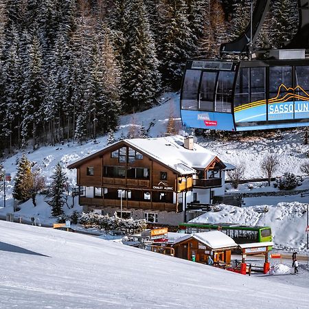 Chalet Albric Сельва-ді-Валь-Гардена Екстер'єр фото